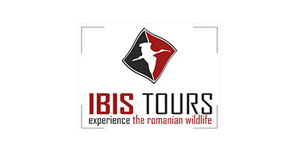 Ibis Tours